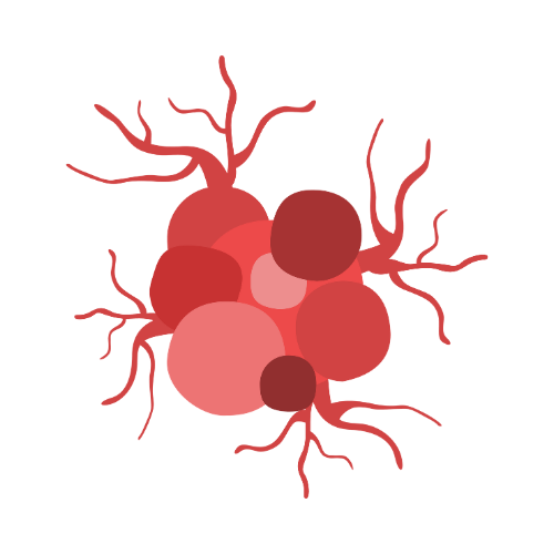 Anti Cancer